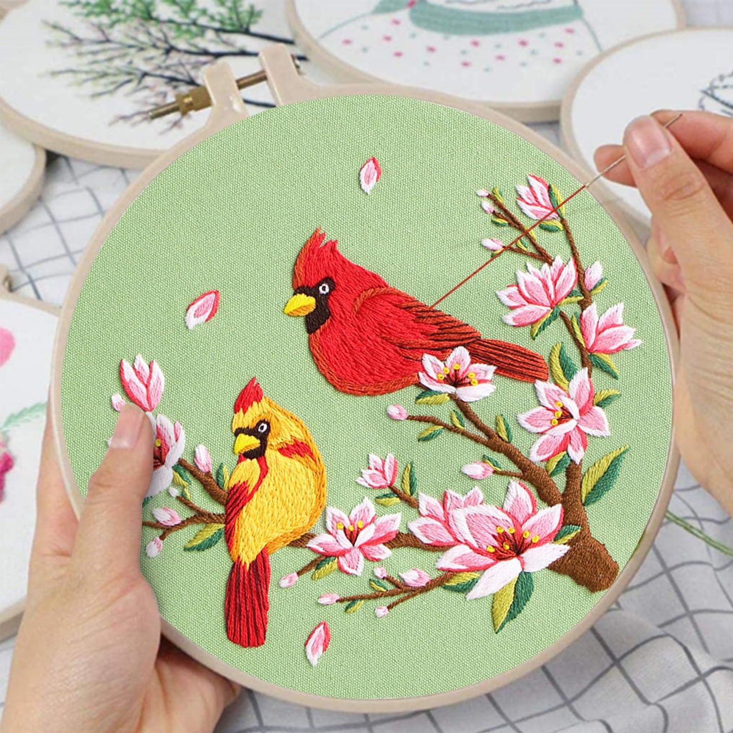 Nuberlic 3 Pack Embroidery Kit for Beginner Adults, Cross Stitch Set with Cardinal & Blue Bird Patterns, Includes Cloth, Hoops, Threads, Needles, Instructions