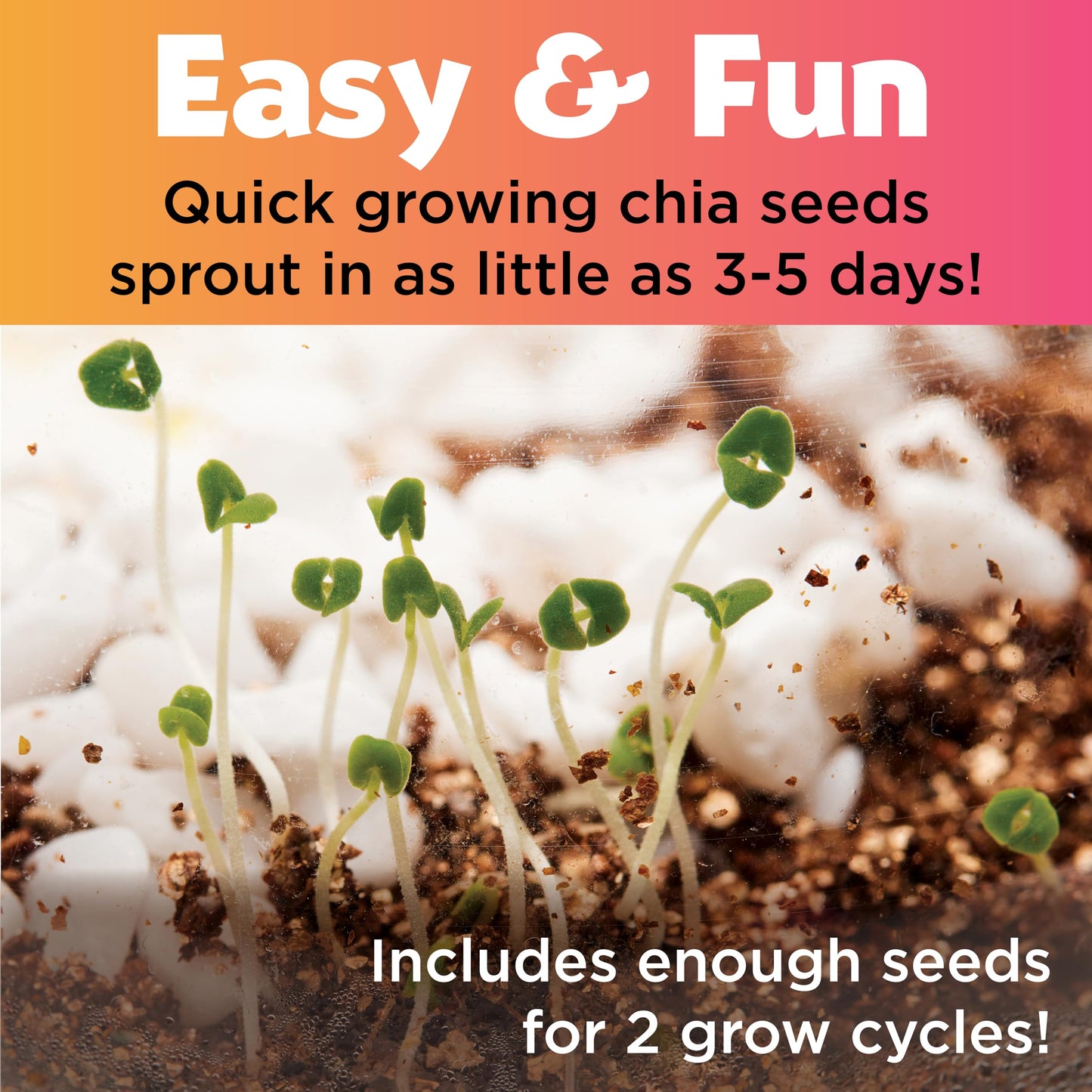 Creativity for Kids Plant and Grow Unicorn Forest: Terrarium Kit for Kids, Unicorn Toys and STEM Kits, Spring Crafts & Arts and Crafts for Girls (Ages 6+)