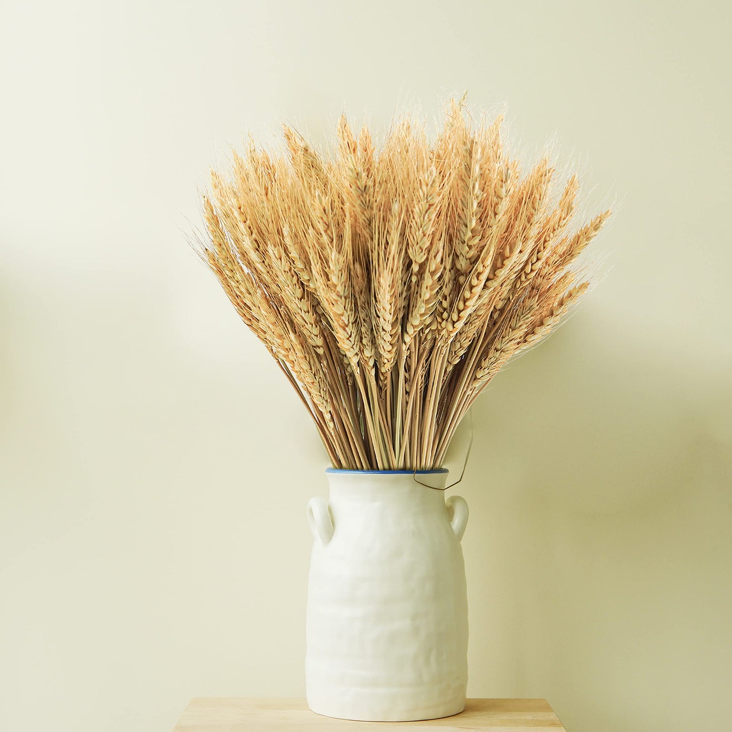 Phliofd 600 Stems Natural Dried Wheat Stalks, 18 inches Dried Wheat Grass Bundle Wheat Sheaves Wreath for Flowers Arrangement Wedding Table Centerpieces Home Kitchen Office DIY Party Décor