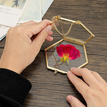 JUXYES 4 Pack Hexagon Mini Wall Hanging Brass Frames for Pressed Flowers, Double Glass Hanging Picture Artwork Display Frame, Gold Floating Style Gallery Wall Frame for Picture, Poster, etc