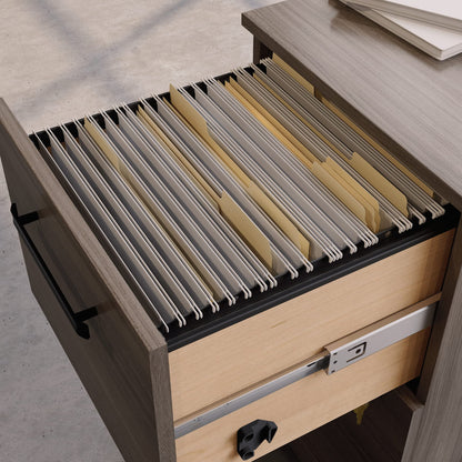 Sauder Affirm 2 Drawer Mobile File, Hudson Elm Finish