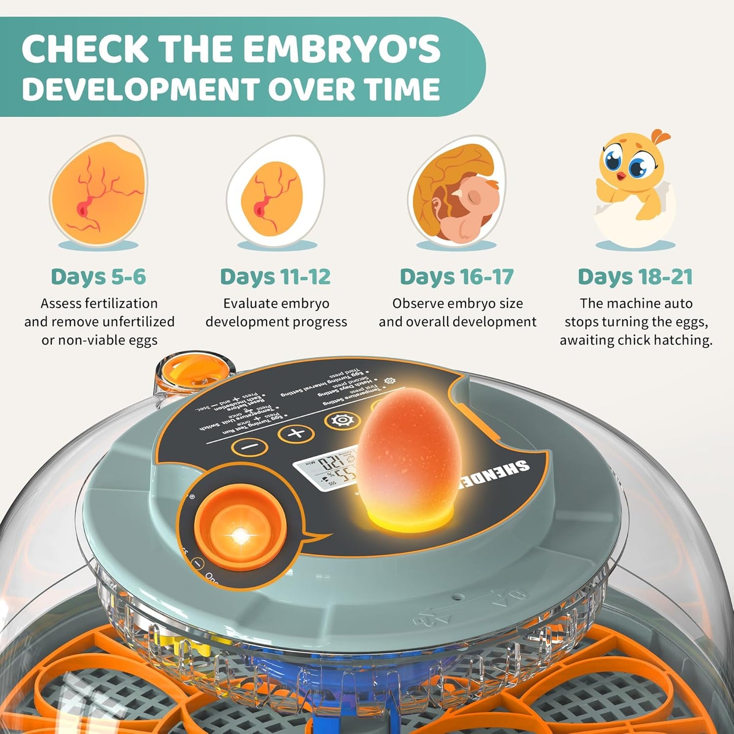 18~36 Egg Incubators for Hatching Eggs, Egg Incubator with Automatic Egg Turning and Humidity Control and Temperature