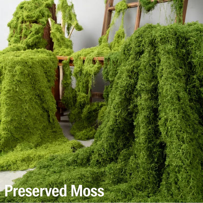 Artificial Moss 8.8oz Laying area of 12 Square feet Fake Green Moss for Crafts, Potted Plants, Fairy Garden Decor, DIY Table Centerpieces, Wedding Party Decoration window display (Moss green)