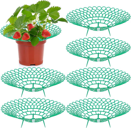 Fairooth 6 Pack 3 Strawberry Supports Strawberry Plant Support Stand Strawberry Growing Racks Protector Strawberry