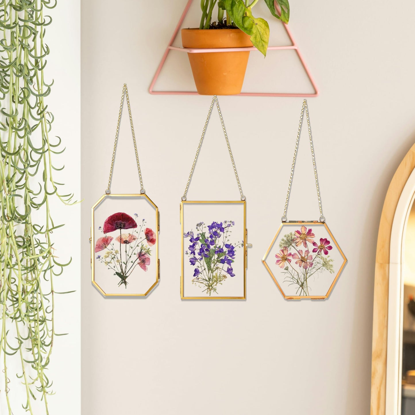 IcosaMro 3 Pack Double Glass Frame for Pressed Flowers 4"x 6" Adult Craft Kits with Brass Glass Frames & 4 Sheets Pressed Flower, Window Hanging Wall Decor Frame for Dried Flowers Leaves Plants
