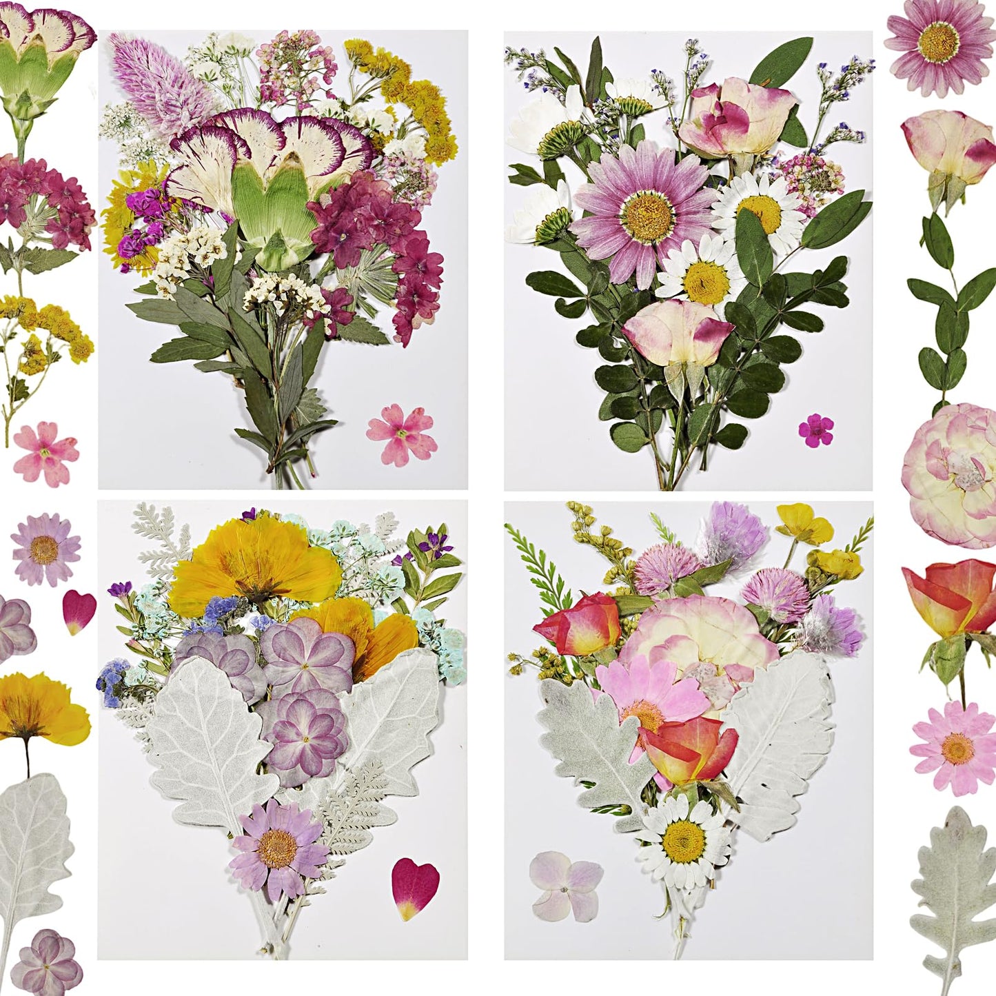 CONVELIFE Dried Pressed Flowers Real Natural - Mixed Colors Flat Pressed Flowers for Resin, Crafts, Candle Making, DIY Art Supplies (75Pcs Dried Flowers)