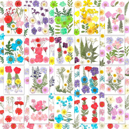 200 Pcs Dried Pressed Flowers for Crafts, 20 Sheets Real Dry Florals and Leaves Bulk with Tweezer for Resin Molds Candle Soap Making Scrapbook Bookmarks Frames Supplies Kit Nail Art Makeup Decor