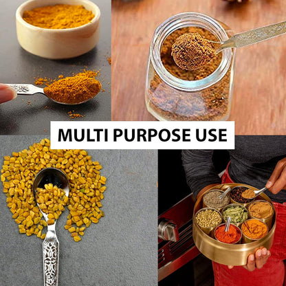 9 Pcs Stainless Steel Masala Spoons for Small Containers, Mini Spoon for Masala Dabba, All Tea Coffee Sugar & Spices, 4