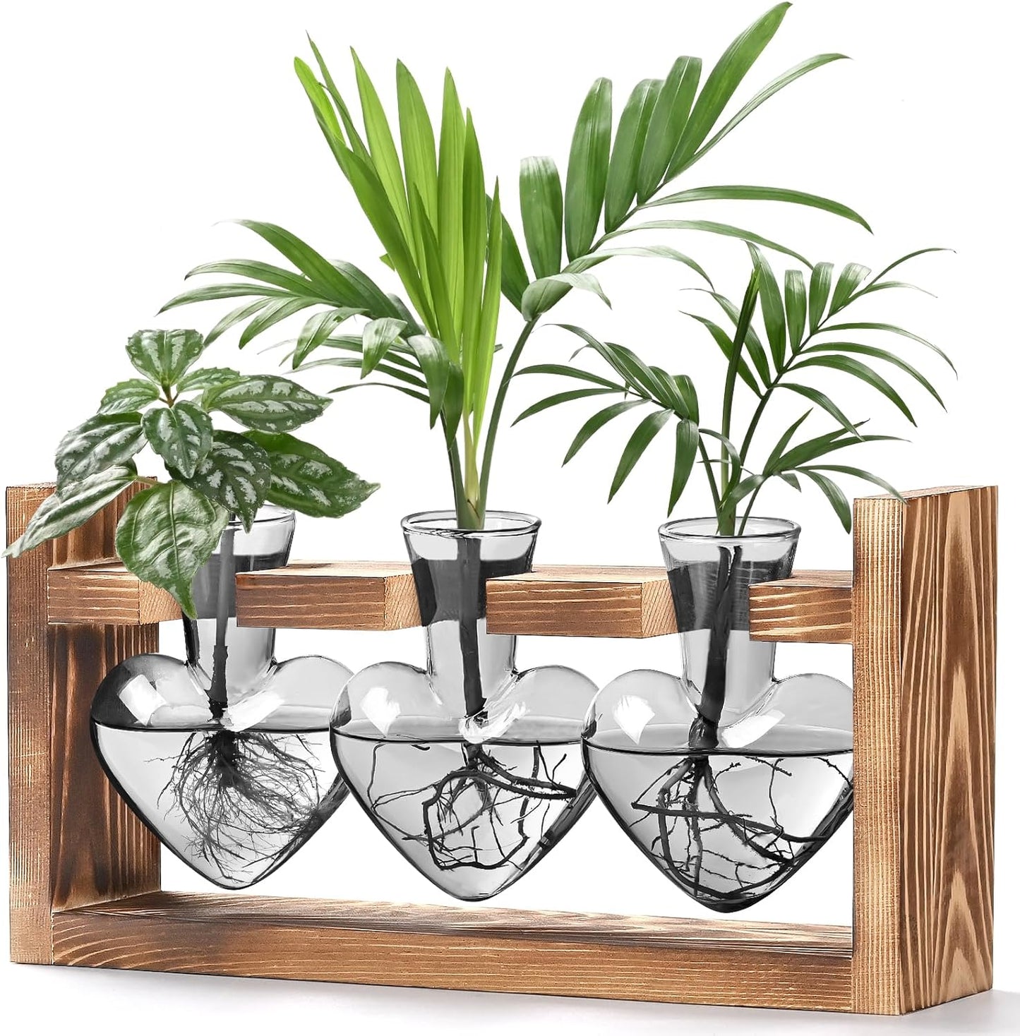 (3 Lifecapido Heart Shaped Propagation Stations, Plant Terrarium with Wooden Stand, Plant Propagation Station