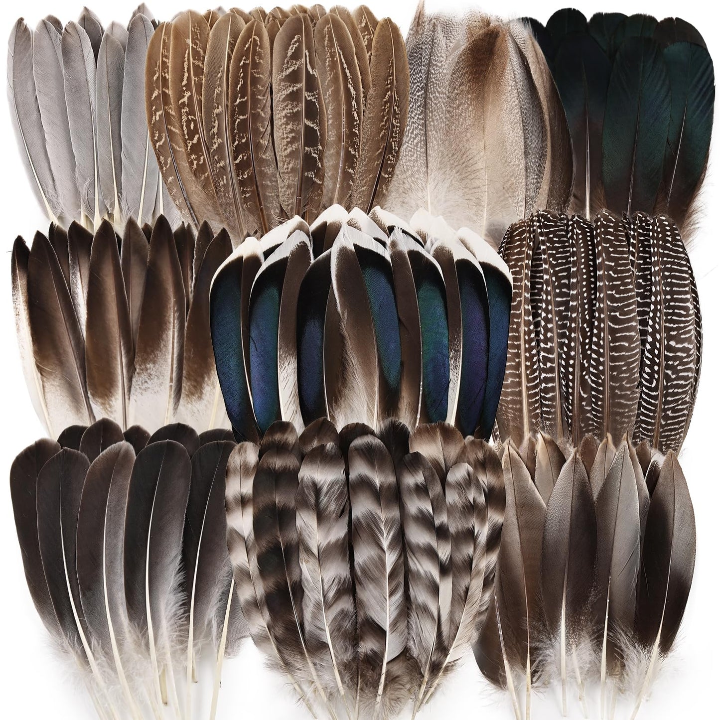 iHUFeather 120pcs Natural Pheasant Feathers Bulk Spotted Feathers 10 Styles Mixed Feathers for Crafts DIY Hat Floral Arrangements Wedding Home Decorations
