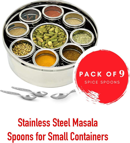 9 Pcs Stainless Steel Masala Spoons for Small Containers, Mini Spoon for Masala Dabba, All Tea Coffee Sugar & Spices, 4