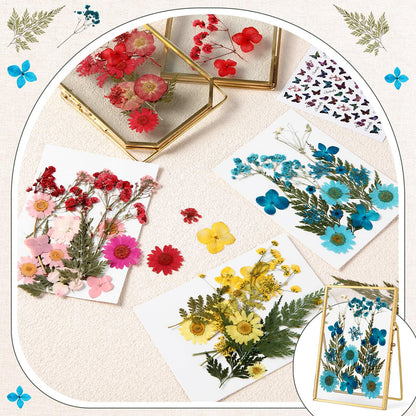 Amyhill 2 Pcs Glass Pressed Flower Frame with Dried Pressed Flowers, Brass Double Glass Photo Frame Includes 72 Pcs Real Dried Flowers, 65 Piece Butterfly Stickers and Tweezer for Handicrafts