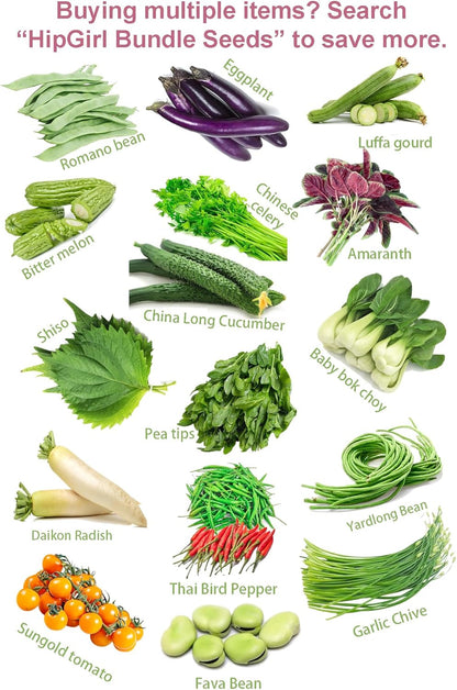HipGirl 2026 Bird-200 #1,Purple/Red-1g) Early Perilla Seeds for Planting/Shiso Seeds for Planting.Heirloom Non GMO Seed