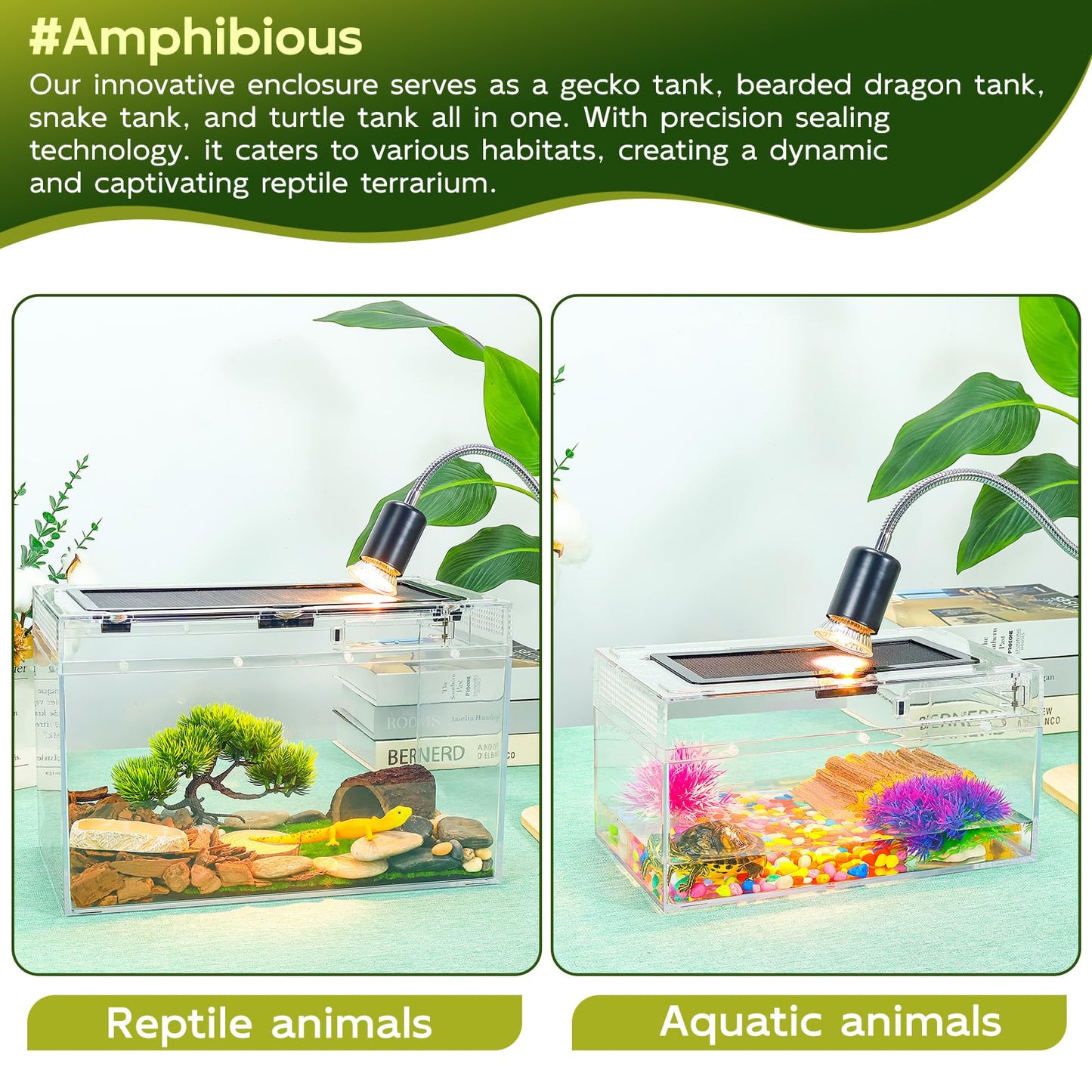 BINANO 12.5''×6''×7'' Reptile Tank Kit with Heat Lamp, Spray Bottle, Shovel, Tweezers, Food Bowl, Hideout -Perfect for Geckos, Snakes, Lizards, Turtles, Jumping Spider,Milk Frog,Hermit Crabs