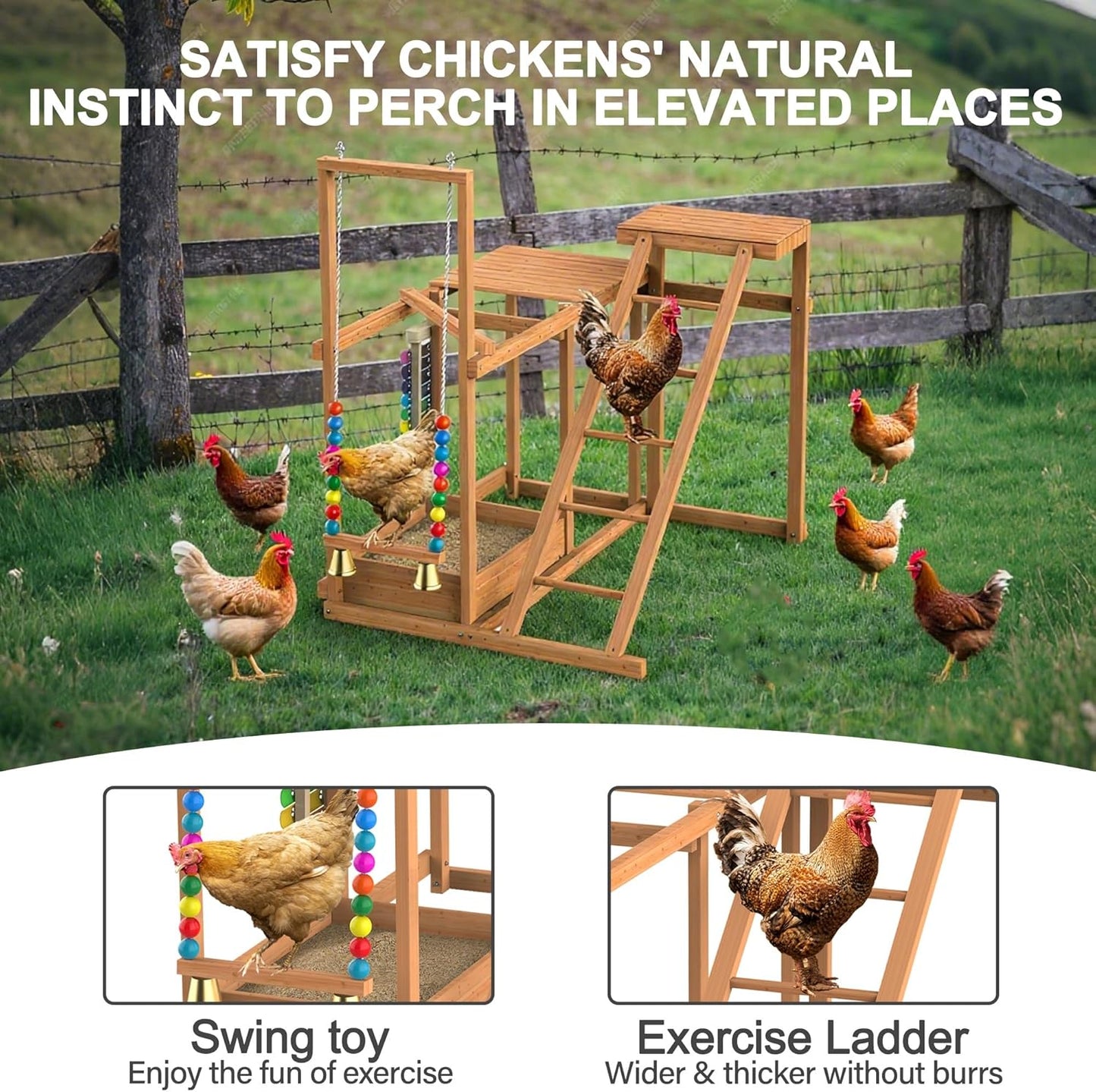 Multi-Functional Chicken Perch with Swing and Xylophone Toy