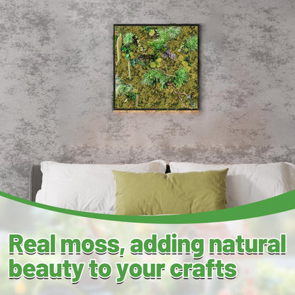 Alphatool 35oz Jumbo Pack Natural Green Moss for Crafts - Bulk Moss for Plants Indoor, Artificial Fairy Gardens, Mosswall, Filling Fake Plants, Floral Design, Home Decoration, Professional DIY Use
