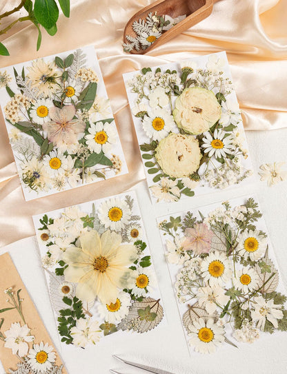 100pcs White and Light Yellow Dried Pressed Flowers Bulk, Natural Fall Pressed Dried Flowers with Tweezer for DIY Crafts Resin Mold Candles Cake Bridal Scrapbooking Supplies