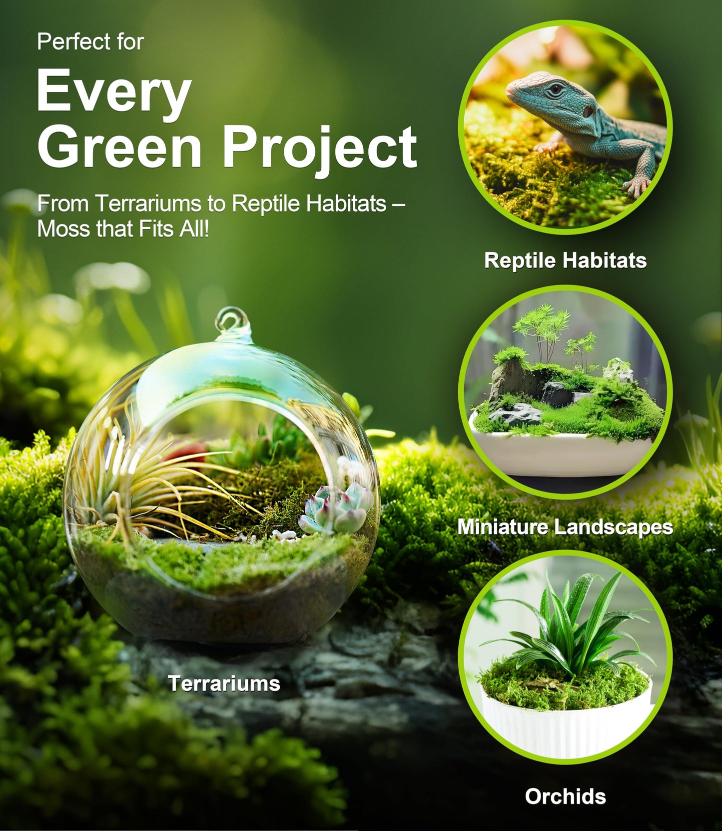 Live Moss Variety Pack for Reptiles– 3-Pack Mixed Real Terrarium Mosses (Each 3.5" x 7") – Live Sheet/Sphagnum Moss for Snake Gecko Turtle Frog Habitats, DIY Plant Décor – Fresh Reptiles Substrate