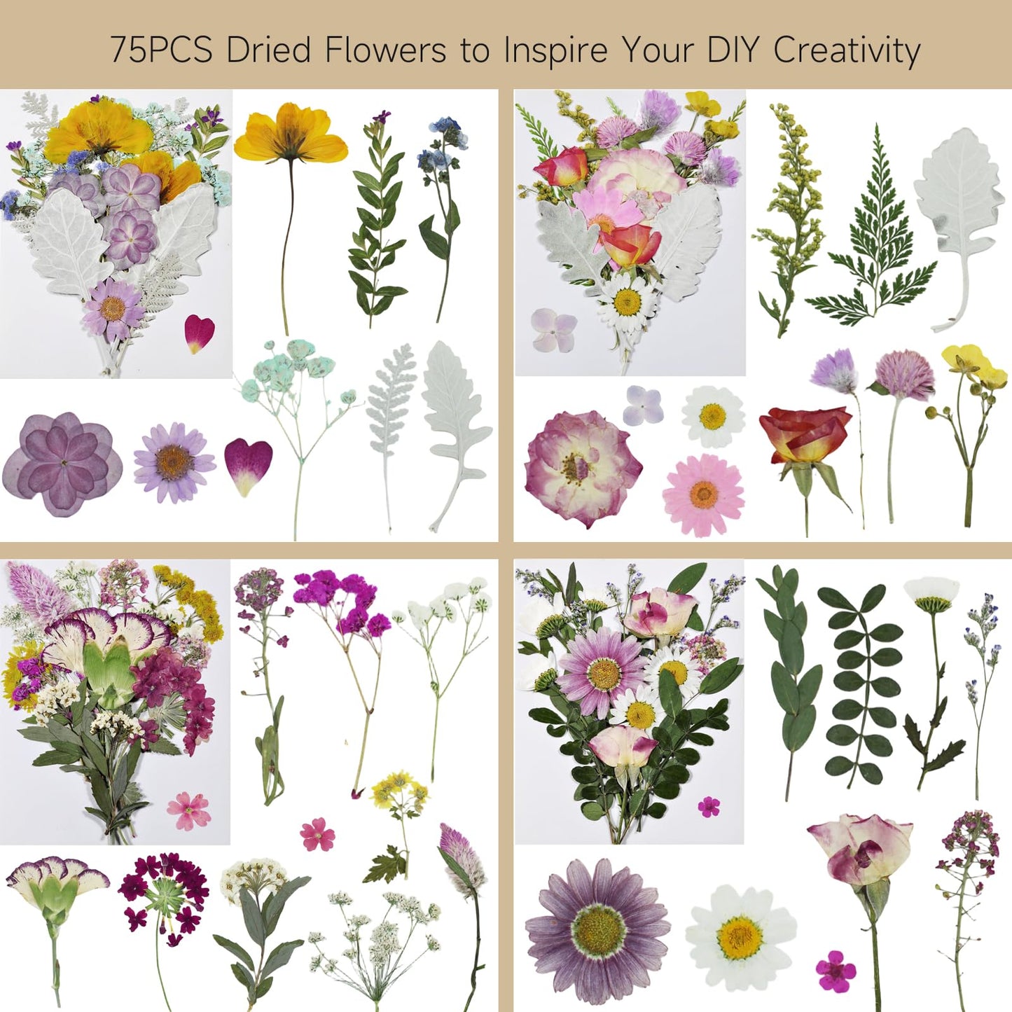 CONVELIFE Dried Pressed Flowers Real Natural - Mixed Colors Flat Pressed Flowers for Resin, Crafts, Candle Making, DIY Art Supplies (75Pcs Dried Flowers)
