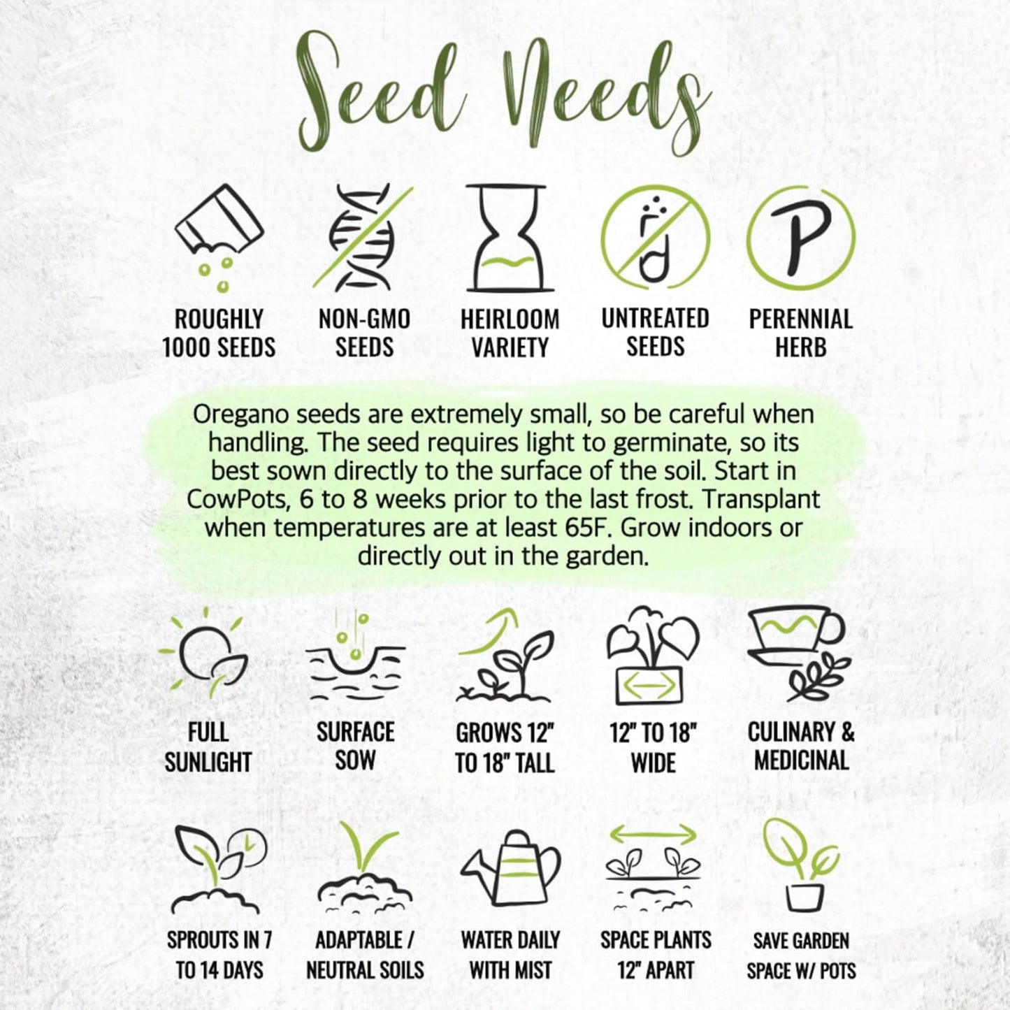 (1 Pack) Seed Needs Oregano Seeds for Planting Italian Herbs - Non-GMO Heirloom & Untreated Culinary Herb Seed - Grow