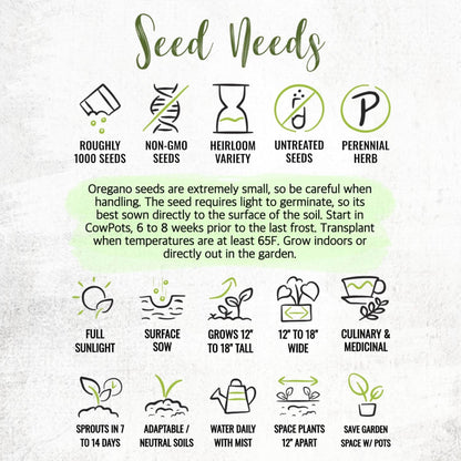 (1 Pack) Seed Needs Oregano Seeds for Planting Italian Herbs - Non-GMO Heirloom & Untreated Culinary Herb Seed - Grow