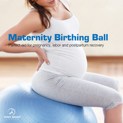 ProBody Pilates Yoga Ball - Fresh Colors Exercise Ball for Stability, Pregnancy, Workout, Physical Therapy & Birthing, Balance Ball Chair (Slate, 65 cm)