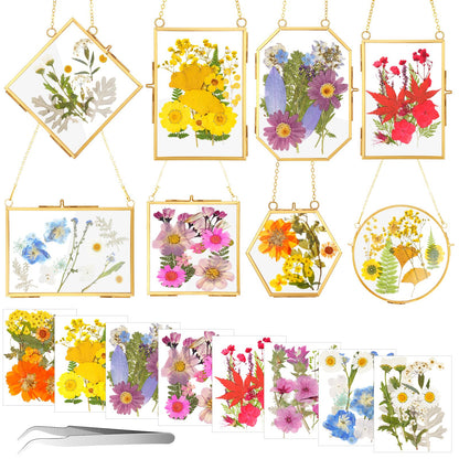 Barydat 8 Set Double Glass Pressed Flower Frames Gifts Wall Hanging Photo Picture Frame with Bag Dried Flowers Chains Gift for Artwork Frame Home Decor Plant Photo Display, 8 Shapes(Gold)