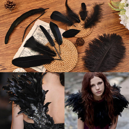 Daieeparty Black Craft Feathers Bulk-360pcs 12 Style Mixed Natural Feathers for Wedding Home,Dream Catcher Supplies and DIY Crafts (Black)