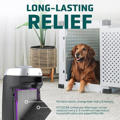 Germ Guardian FLT4850PT True HEPA Replacement Filter B - Pet Pure Treatment for C4900, AC4825 & More