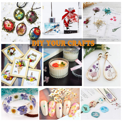 LUCISKY 133Pcs Dried Pressed Flowers and Butterfly for Resin Molds, Assorted Real Natural Flowers Leaves Stickers for DIY Art Crafts, Jewelry, Candle, Soap Crafts Making