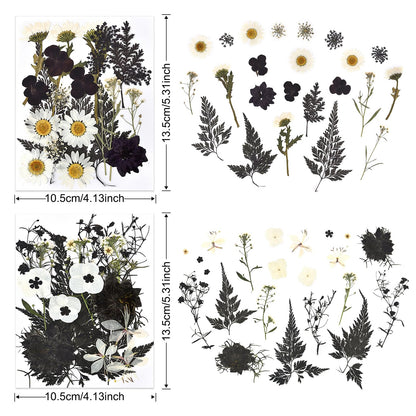 DALARAN Black Dried Pressed Flowers for Resin Molds, Bulk Real Natural Dry Floral for DIY Art Crafts, Epoxy Jewelry, Candle, Nails Decor, Phone Case,Soap Making