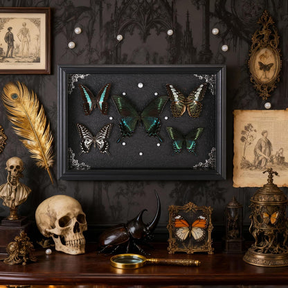 Real Framed Butterfly Taxidermy Collection - Set of 5 in Shadow Box Display - Natural Wood Frame with Museum Quality Preservation - for Home Decor, Wall Art, Gift
