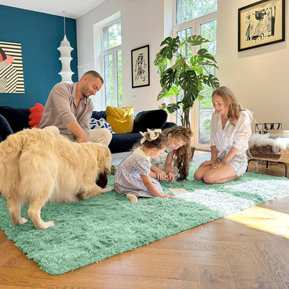 OLANLY Area Rugs - Soft Fluffy Shaggy Indoor Carpet for Living Room & Bedroom | 4x5.9 ft Mint Green