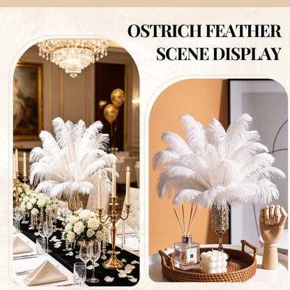 Natural White Ostrich Feathers Bulk 40 Pack, 10-12 in, 8-10 in (20 Pcs Each), for DIY Vase Craft Wedding Party Centerpieces Christmas Decoration