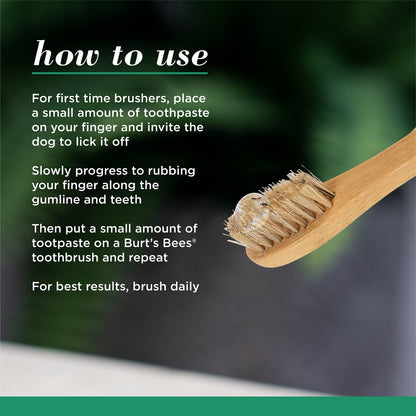 Burt's Bees for Pets Naturally Derived Oral Care Kit - Dog Dental Kit with Toothpaste & Bamboo Toothbrush - Dog Toothbrush and Toothpaste with Honeysuckle & Peppermint Oil, Fresh Mint Flavor (2.5 oz)