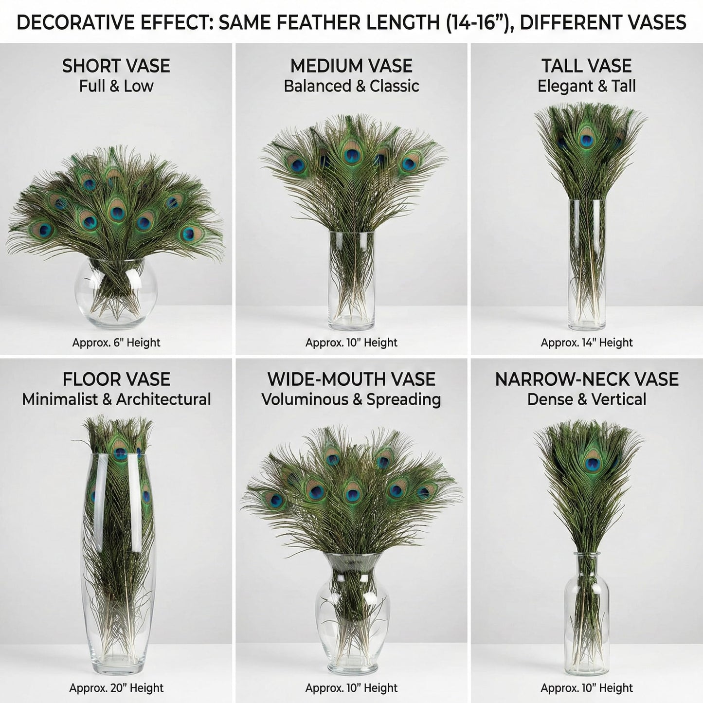 Lamar Peacock Feathers Bulk 16-18 Inch 40 Pcs Long Feathers with Large Eyes – Ultimate Bundle for Tall Vases, Wedding Centerpieces, Home Decor, Costumes, and DIY Crafts