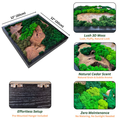 Serenzy 12" Square Cedar & Preserved Moss Wall Art | Unique No-Maintenance Decor for Home, Office, Restaurant, Natural Scattered Wood