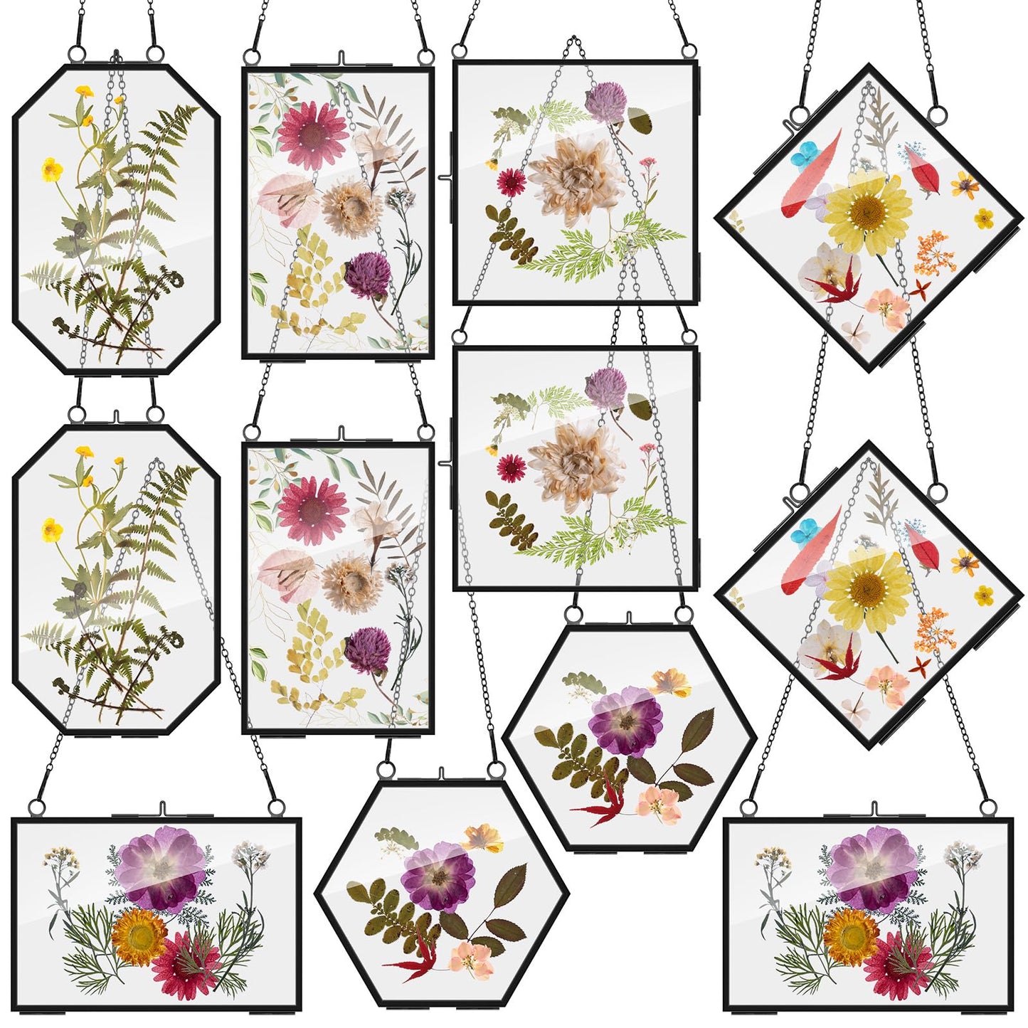 Soaoo 12 Pcs Brass Glass Frame for Pressed Flowers with Chain Clear Double Glass Floating Artwork Display Frame for Wall Decor with Dried Plant Leaf, 6 Shapes (Black)