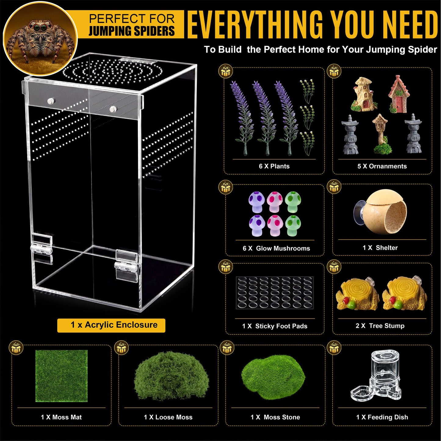 Feekoon Jumping Spider Enclosure Kit, Acrylic Insect Terrarium, Transparent Bug Habitat for Praying Mantis & Small Arboreal Species, Complete Starter Tank with Ventilation