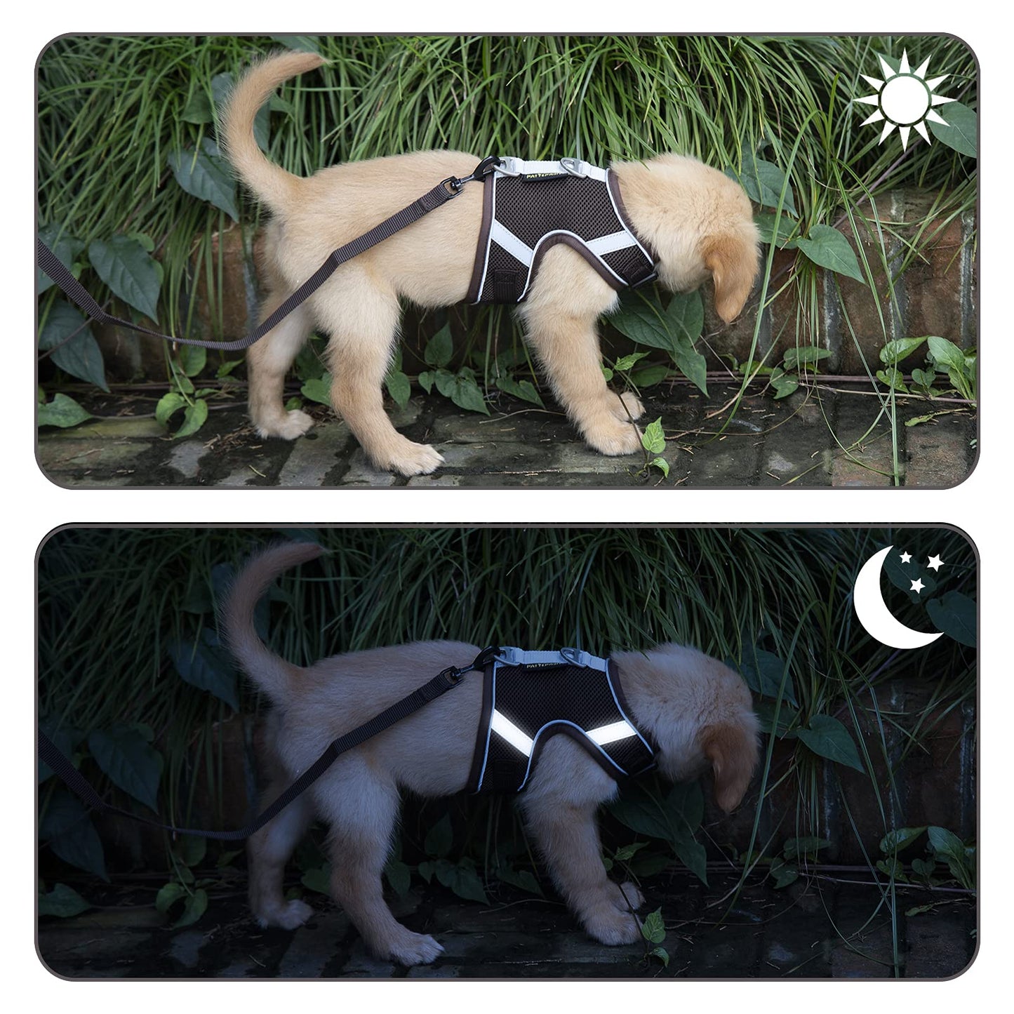 PATTEPOINT Escape Proof Mesh Cat Harness and Leash Set, Adjustable Walking Jacket Vest for Extra Kittens, Easy Control Reflective Cat Vest Harnesses for Small Medium Pets Outdoor (XS Coffee)