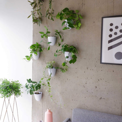 PlantPod Luxe - Self-Watering Wall Planters (Set of 6) - Easy to Water and Install - Lightweight - Design Your Own Vertical Garden - Wall Planters for Indoor Plants