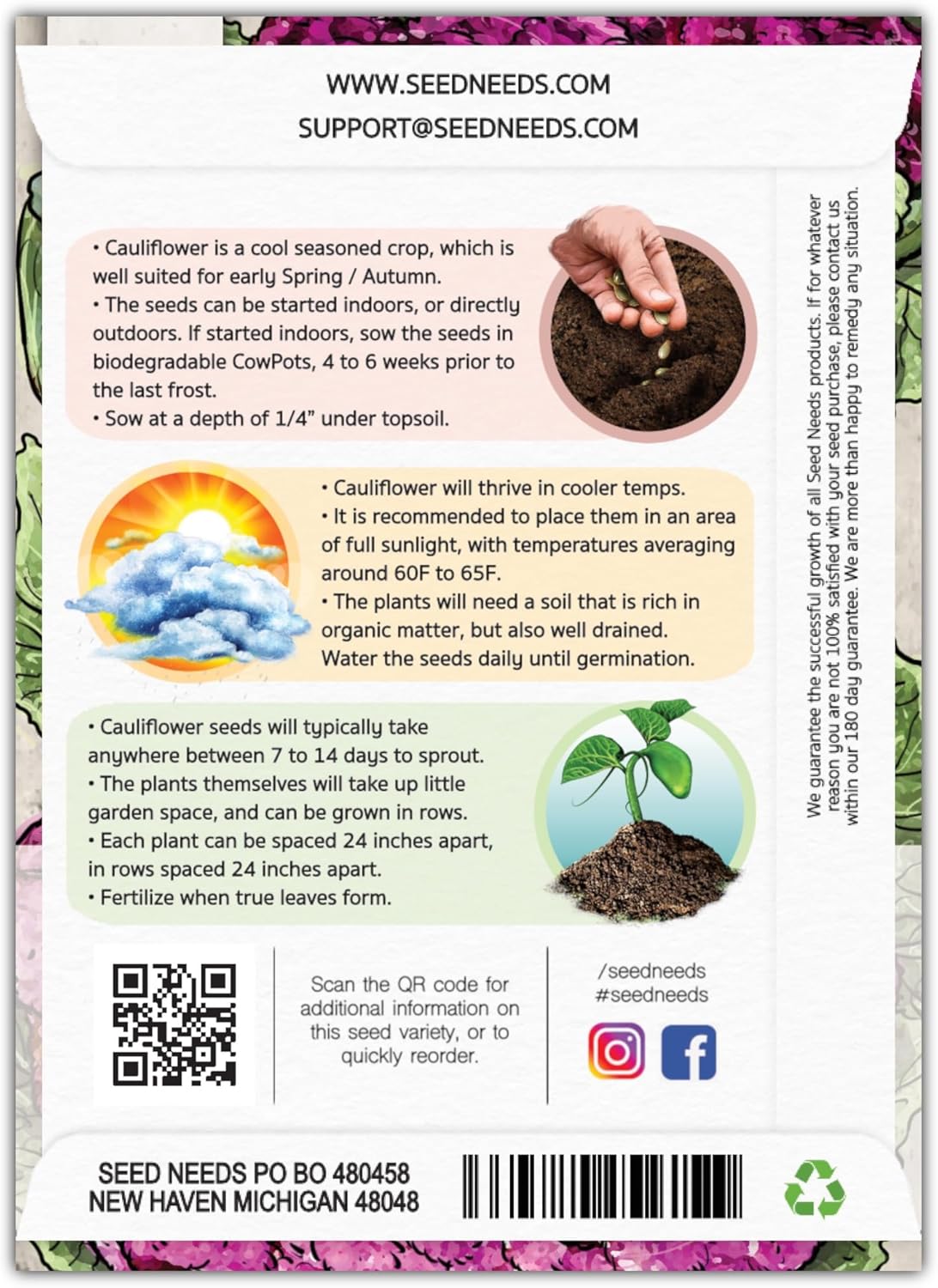(5 Packs) Seed Needs Cauliflower Seeds for Planting Purple of Sicily Cauliflowers - Non-GMO Heirloom & Untreated
