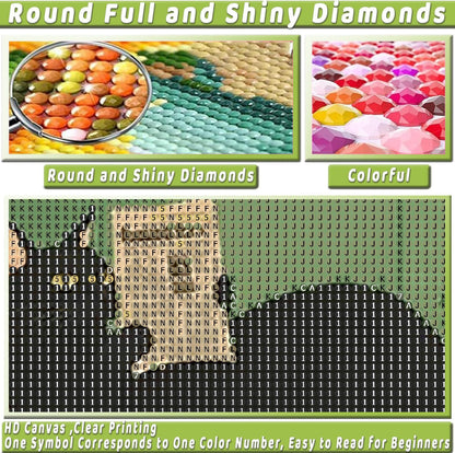 3Pcs Bathroom Cat Diamond Art Kits for Adults Beginners,Full Round Drill Cats DIY Funny Animal Diamond Painting Kits,Paint by Diamonds Dot Gem Art Crystal Easy,Home Wall Teens Decor&Gift-12x16in