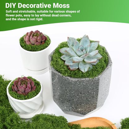BESKIT Artificial Green Moss for Potted Plants, 10.6 oz Fake Moss Decor for Indoor Plants, Glass Containers, Wedding, Gardens, DIY Crafts (Dark Green)