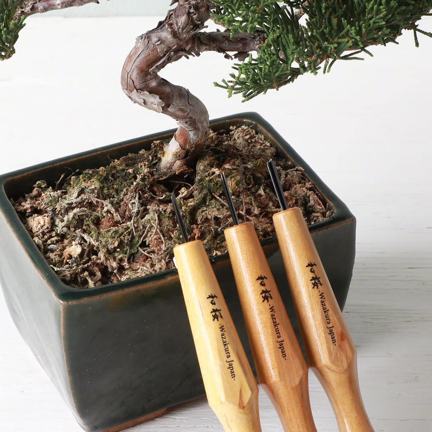 Wazakura 3PCS Bonsai Chisel Kit with Round Gouge, Single Bevel Skewed and V-Parting Tool, Hand Carving Tool Set for Jin Shari Making, Woodworking Knife Pack - Mini Size