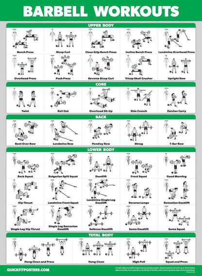Palace Learning Dumbbell & Barbell Workout Charts - Set of 4 Laminated Muscle Guides (18" x 24")