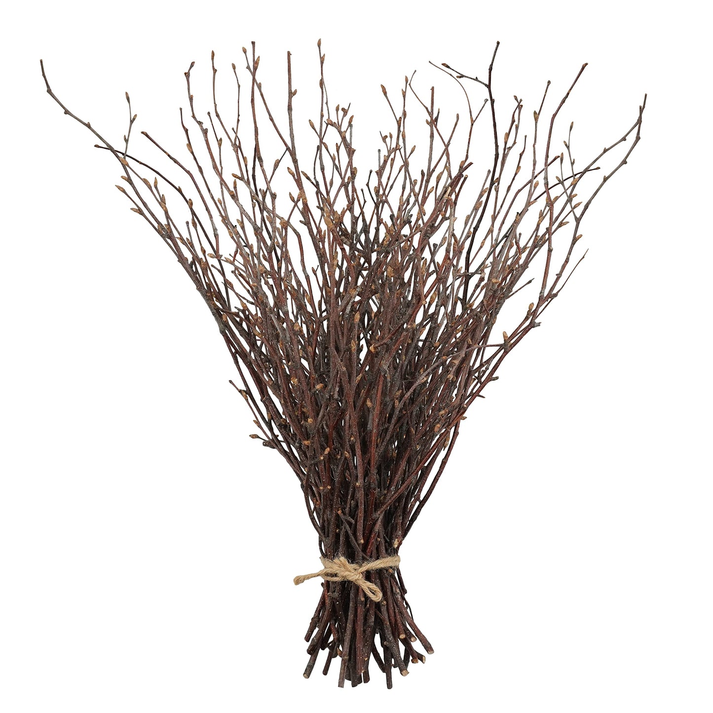 Uieke 50PCS Birch Twigs – 17 Inch Natural Dried Plants Decorative Birch Branches for DIY Crafts, Birch Sticks for Vases Wedding Arrangements Home Wreath Decor