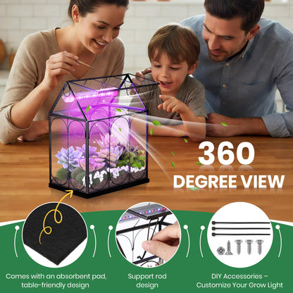 Meonum Tiny Glass Terrarium Kit with Grow Light, Venus Fly Trap Terrarium with Absorbent Mat, Timer&3 Light Modes for Succulent Live Air Plants Indoor Home Office Decor (7.1"x 4.7"x 8.7",USB Powered)