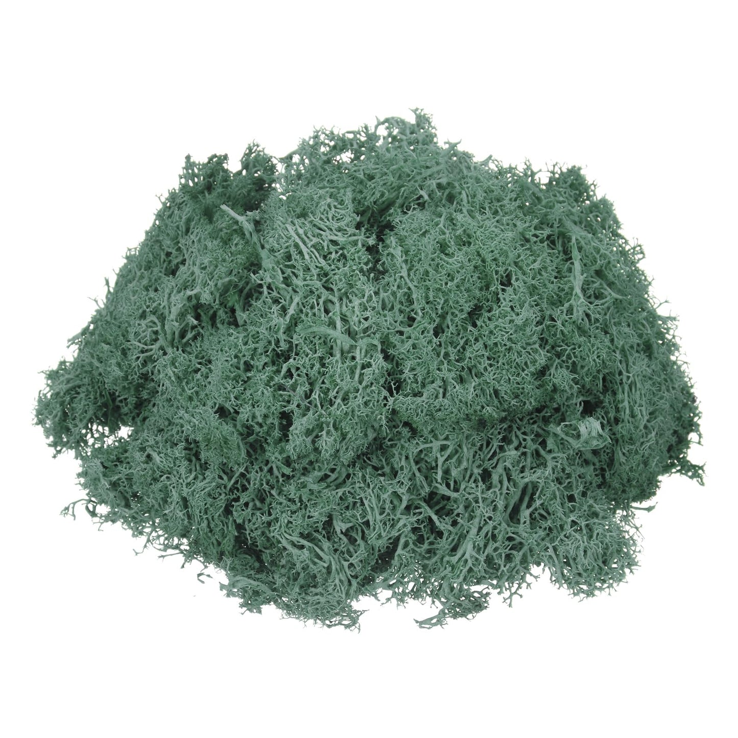 MECCANIXITY 7.4oz Preserved Reindeer Moss, Grass Green Decorative Artificial Fake Moss for Potted Plants Indoor Crafts Lichen Centerpieces Decor