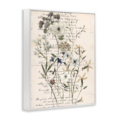 Stupell Industries Vintage Pressed Flowers White Framed Giclee Wall Art Design by Carol Robinson, 11 x 14